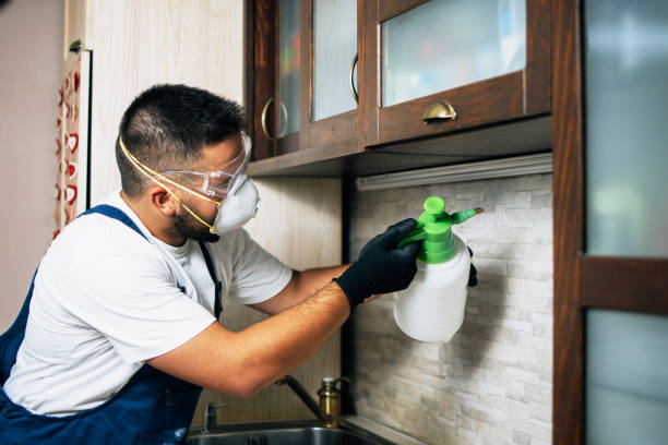 Best Bed Bug Extermination  in Valley, NE