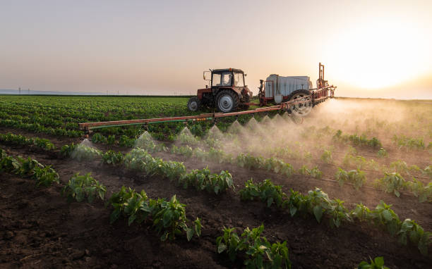 Best Insect Control  in Valley, NE