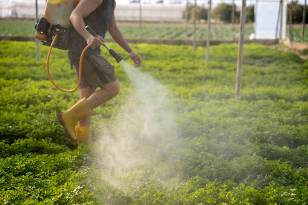 Best Pest Inspection Near Me  in Valley, NE