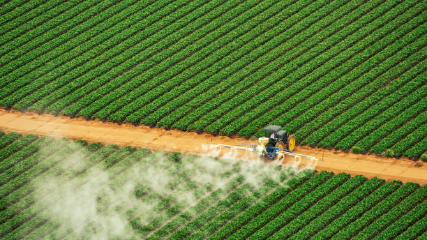 Best Insect Control  in Valley, NE